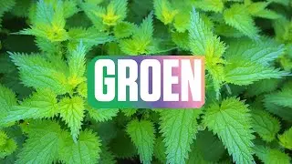 GROEN | Kiesadvies