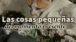 LAS COSAS PEQUEÑAS DEL MOMENTO PRESENTE - Eckhart Tolle