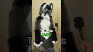 How Much Do Your Fursuits Cost? 