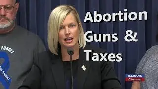 Abortion, Guns, and Taxes, Taxes, Taxes (May 2019)