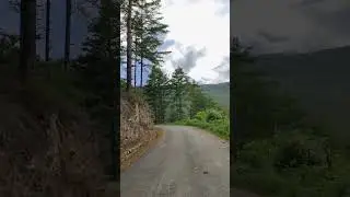 🇧🇹 Bhutan's mountain roads, where the journey is the destination @souravmaji.in #roadtrip #bhutan