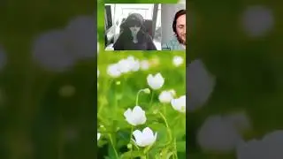 Как решить собственную проблему и спасти мир? Решение вложено в нас!