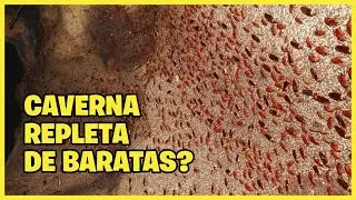MAIS 4 LUGARES QUE PARECEM TER SAÍDO DE UM PESADELO