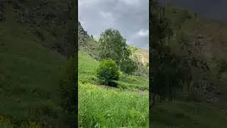 Экотропа в Долине нарзанов