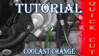 Kawasaki Ninja 1000SX - Coolant Change - Quick Cut Version