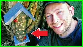 How to make a Ladybird Hotel Insect Tower for your Garden