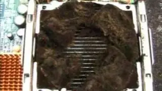 Incredibly dirty computer from the dump!