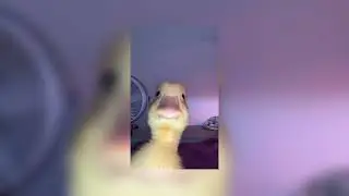 у нее были обычные карие глаза