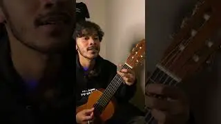 sanes cover gitar lele 😭