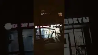 14 ноября 2023 г.