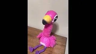 I just can’t sell this. #keeper #talkingflamingo #flamingo