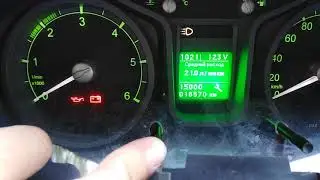 How to reset the service interval on a Gazelle Next