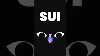 How to Install Sui Development Environment on Windows (Step-by-Step Guide)