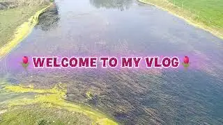 🦋✨My Memories Before Marriage🤗( हमारा गाँव,🏕 कॉलेज 🏢 और मस्ती वाले दिन😜)