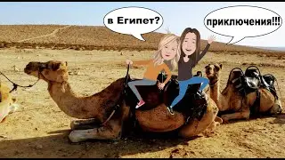 Обзор: Зачем едут в ЕГИПЕТ, и почему ОСТАЮТСЯ? [Египет Каир 2020] Многоженство,  Запретная любовь