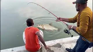 GIANT Carp Fishing Challenge! Catching a MONSTER Catla Fish on Rod and Reel 