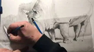 Come disegnare un rinoceronte parte 7