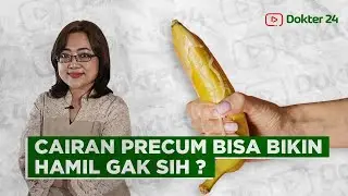Dokter 24 - DOK, CAIRAN PRECUM BISA BIKIN HAMIL NGGAK?