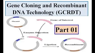 Gene cloning and Recombinant DNA technology (DCRDT) Introduction