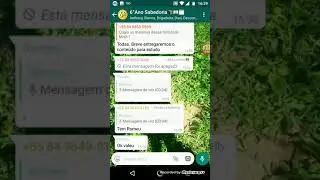 Como se copiar e colar mensagem do WhatsApp