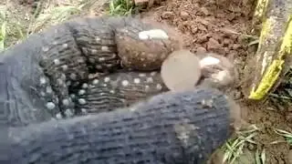 осень 2017 и царская медаль