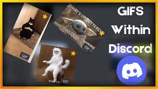 Using GIFs within Discord