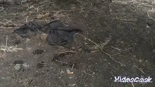 ремонт распределителя погрузчика турс
