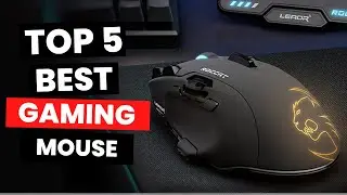Top 5: Best Gaming Mouse (2024)