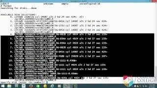 Linux/Unix - Creating disk groups in VERITAS P1