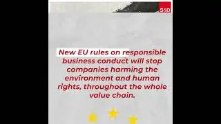 Big companies, CEOs, are you listening? 👋👋 #europeanparliament #eu #europe