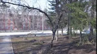 Академгородок. Ранняя весна