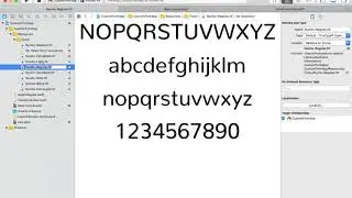 How To Add Custom Font | XCODE 10.2 | SWIFT - 5
