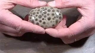 How to Hand Polish a Petoskey Stone