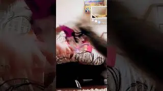 #рекомендации #топ #рек #хочуврек #ютуб #котик #марси