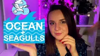 ASMR OCEAN & SEAGULLS