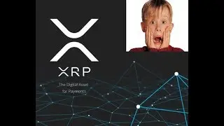 How Much XRP Should You Own?