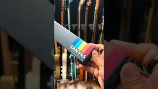 Swapping the PHOENIX with the CANVAS POWER SUPPLY by WALRUS AUDIO