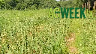 AgweekTV Full Episode 08/03/24 S10E31