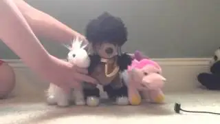 Webkinz 