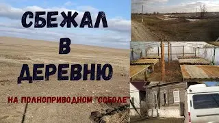 Сбежал из семьи, уехал в деревню. Рассадник после снегопадов.