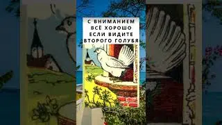 #тесты