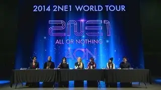 2014 2NE1 WORLD TOUR 'ALL OR NOTHING' PRESS INTERVIEW