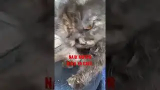 GARUK GARUK SAMBIL NAIK MOTOR