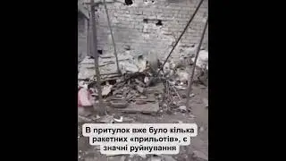 Бахмут, притулок для тварин 