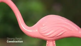 Lawn Décor
