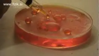 Water drops on water - Science experiment