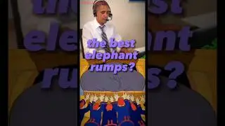 The PRESIDENTS Debate The BEST Elephant Butt!! 😳🐘