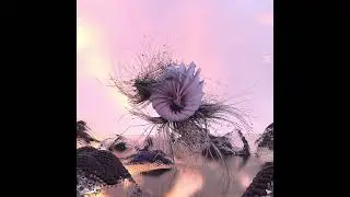 MARS KASEI - Cosmic Love