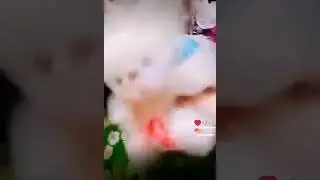 Кошечка и Медвёжонок 🧸🧸 ТанцуТанцуют