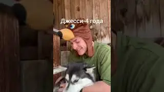 сколько лет персонажам grey ship 4 часть